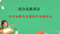 初中生物人教版（2024）七年级上册（2024）利用细菌或真菌制作发酵食品课前预习课件ppt
