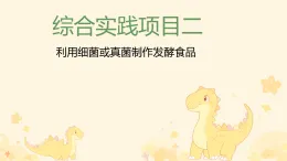 初中  生物  人教版（2024）  七年級上冊（2024）  第二單元綜合實踐項目 利用細菌或真菌制作發(fā)酵食品 課件