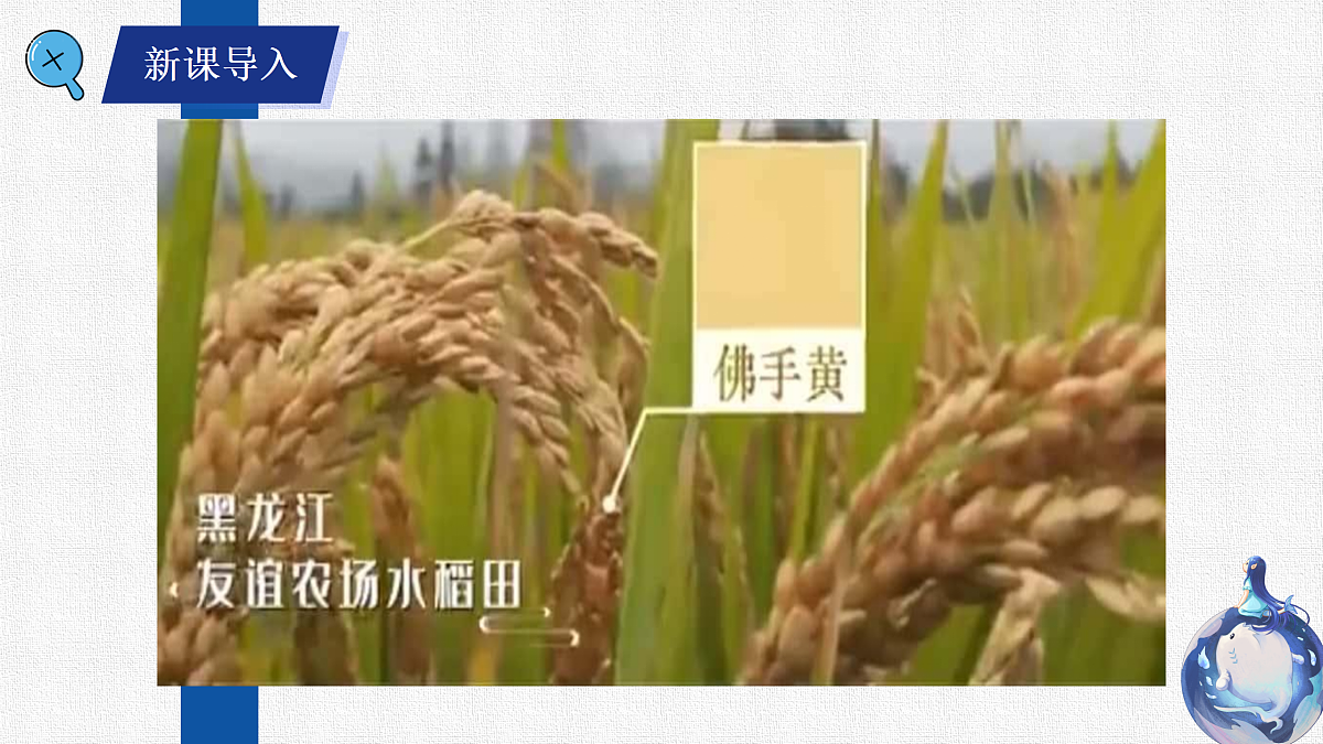 17369960第2页