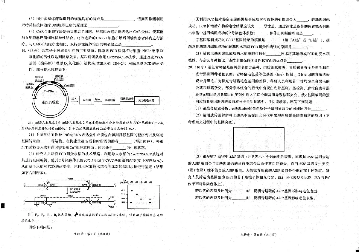 四川省巴中市普通高中2023级“零诊”考试生物第2页
