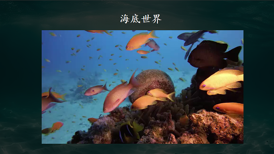 第四节 海洋资源第3页