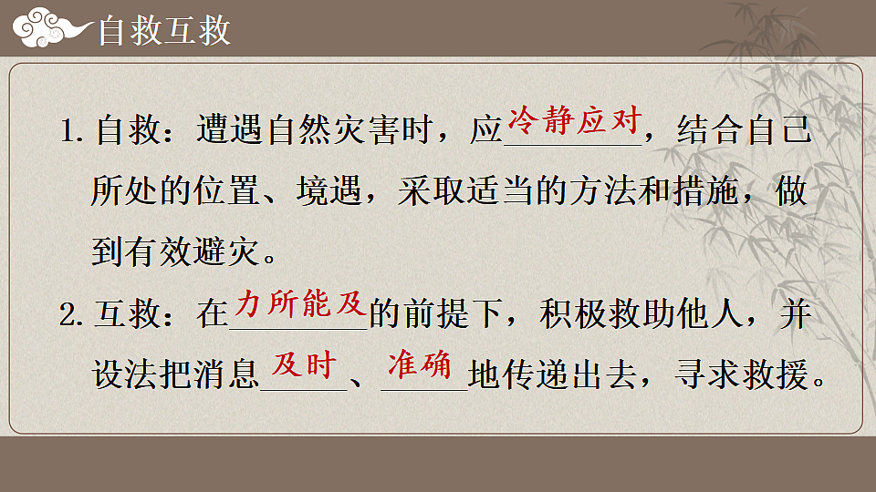 17371046第8页
