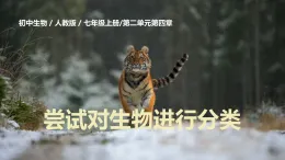 初中  生物  人教版（2024）  七年級上冊2.4.1 嘗試對生物進行分類 課件