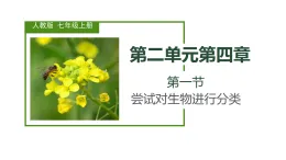 初中  生物  人教版（2024）  七年級上冊2.4.1 嘗試對生物進行分類 課件