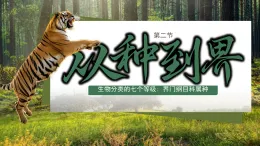 初中  生物  人教版（2024）  七年級上冊2.4.2 從種到界 課件