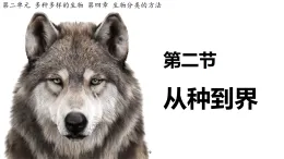 初中  生物  人教版（2024）  七年級上冊2.4.2 從種到界 課件
