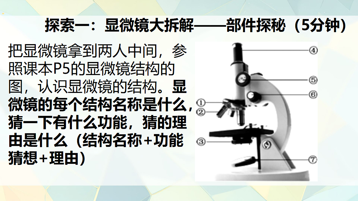 17371291第4页