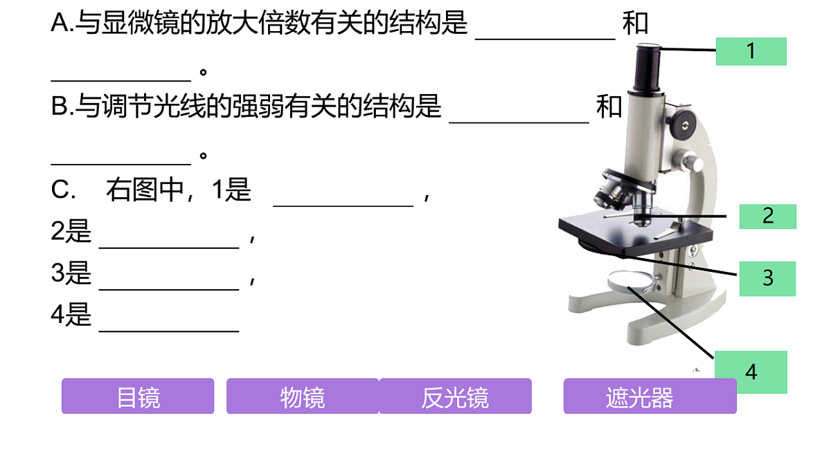 17371291第5页