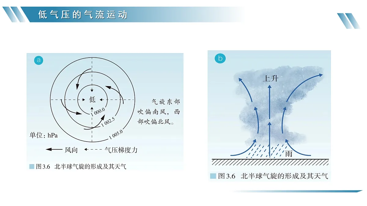 17372544第8页