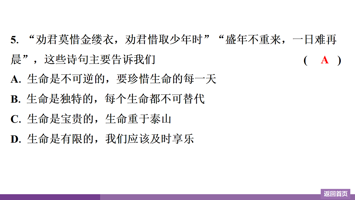17372751第6页