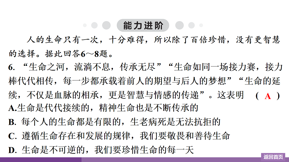 17372751第7页