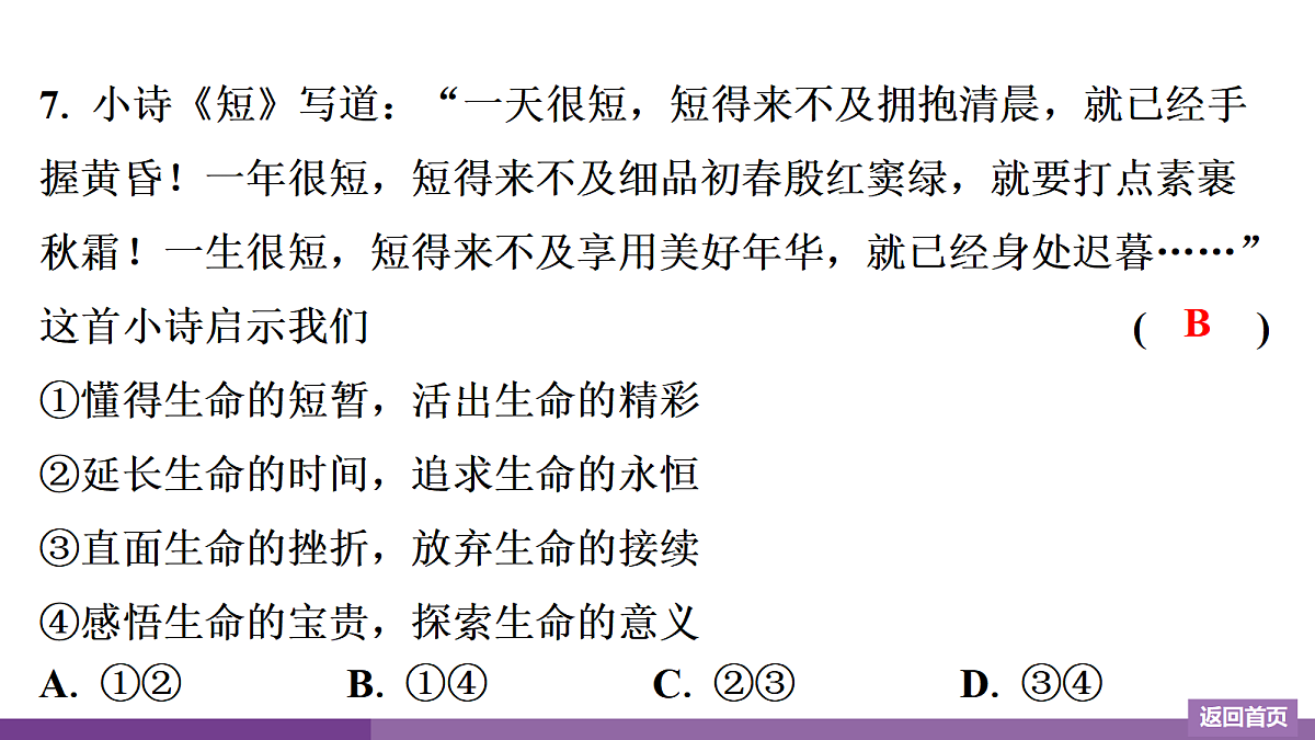 17372751第8页