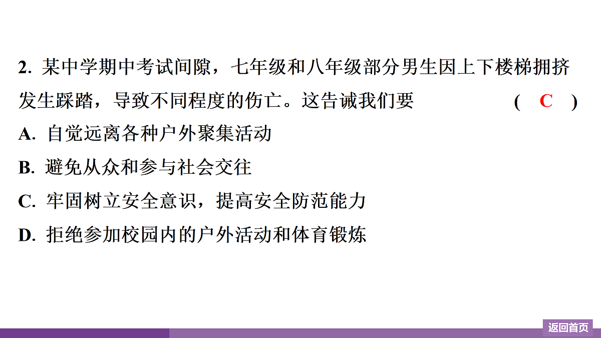 17372753第3页