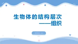 浙教版2024科學(xué)七年級(jí)上冊(cè)2.3生物體的結(jié)構(gòu)層次（組織）（課件 ）
