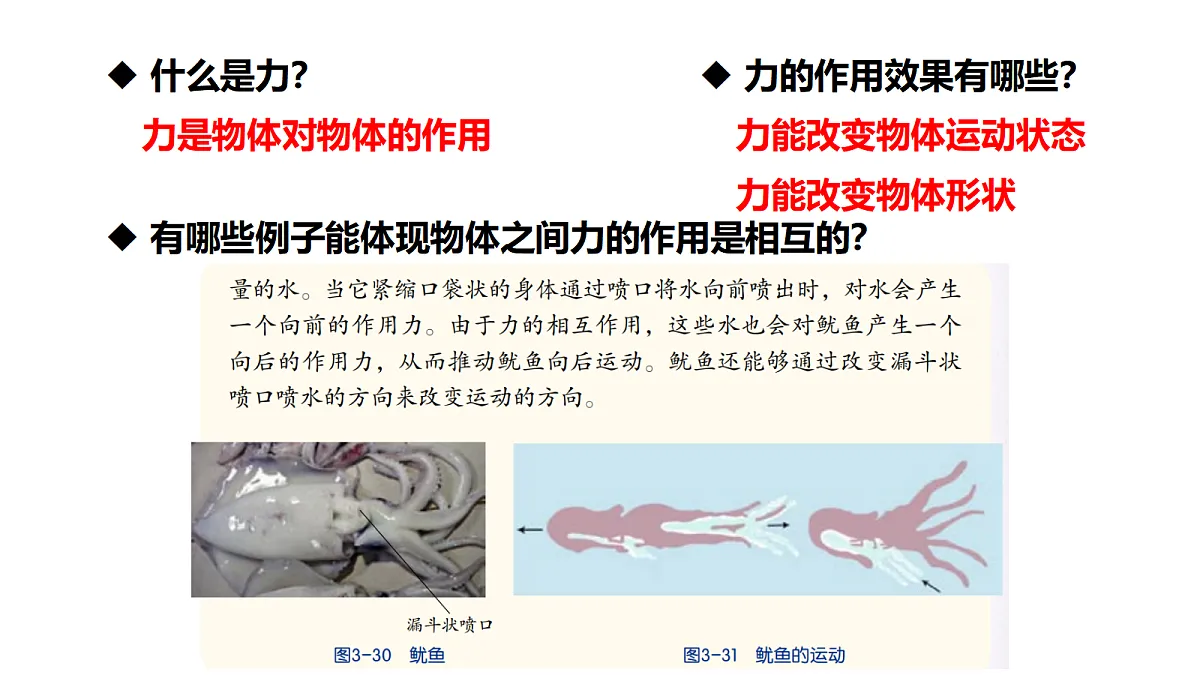 17373267第4页