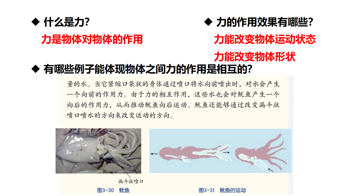 17373267第4页