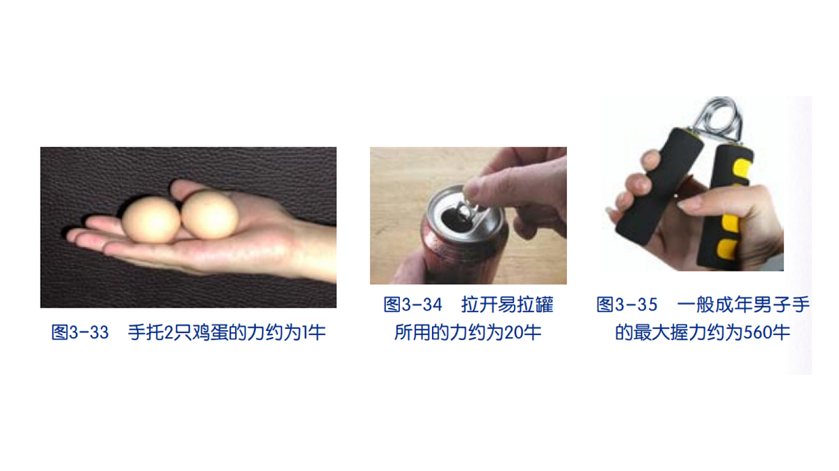 17373267第5页