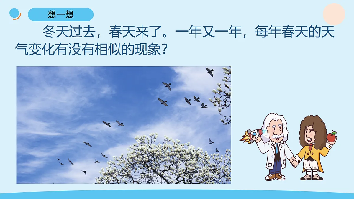17375417第2页