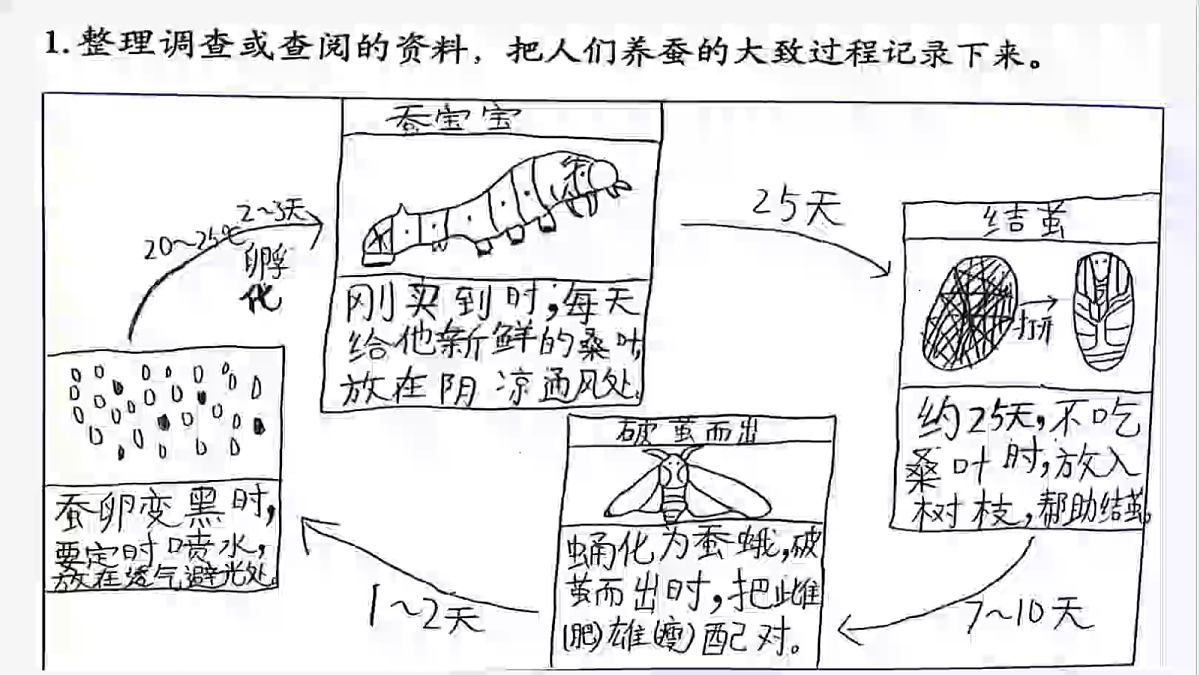17375421第5页