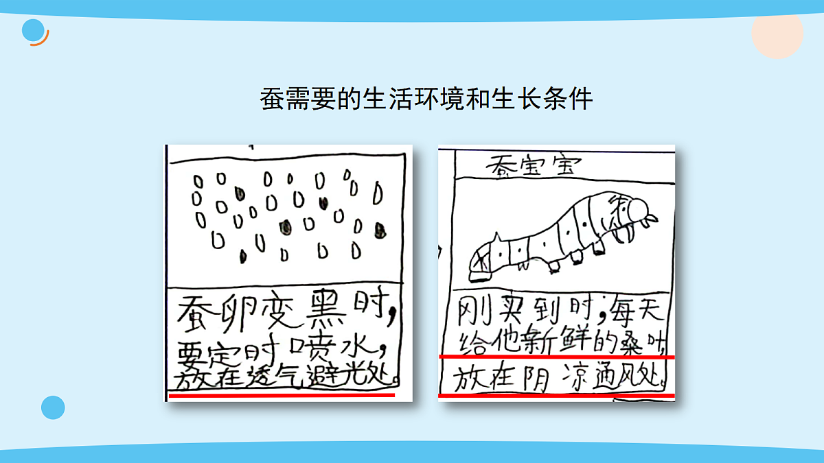 17375421第7页