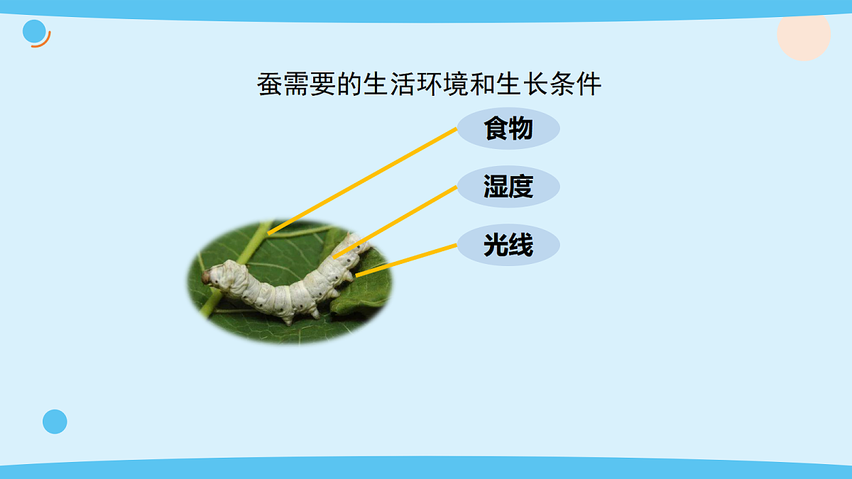 17375421第8页