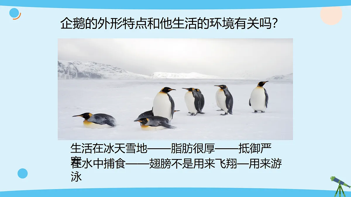 17375428第2页