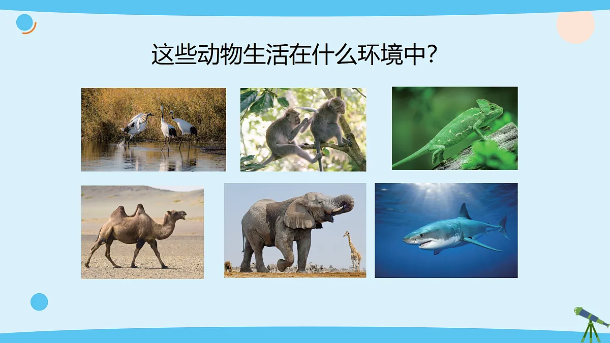 17375428第3页