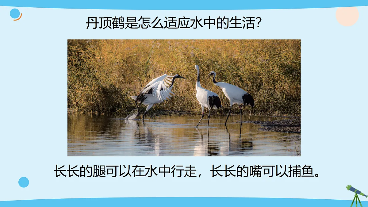 17375428第4页
