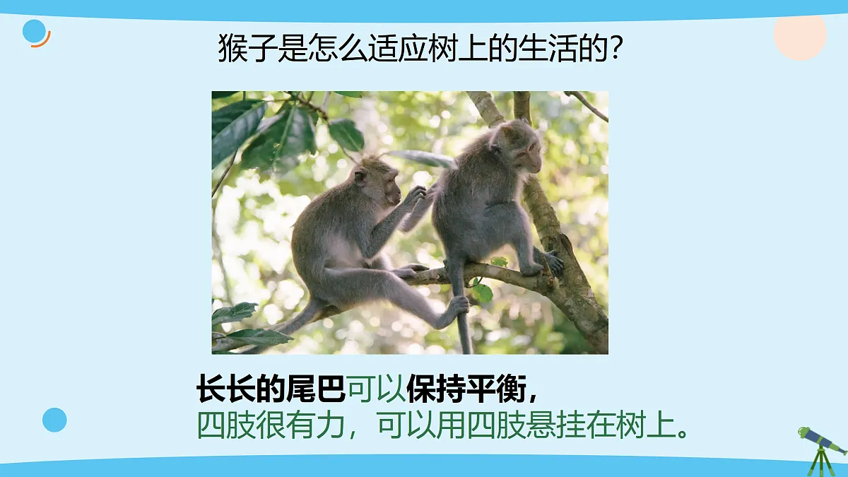 17375428第5页
