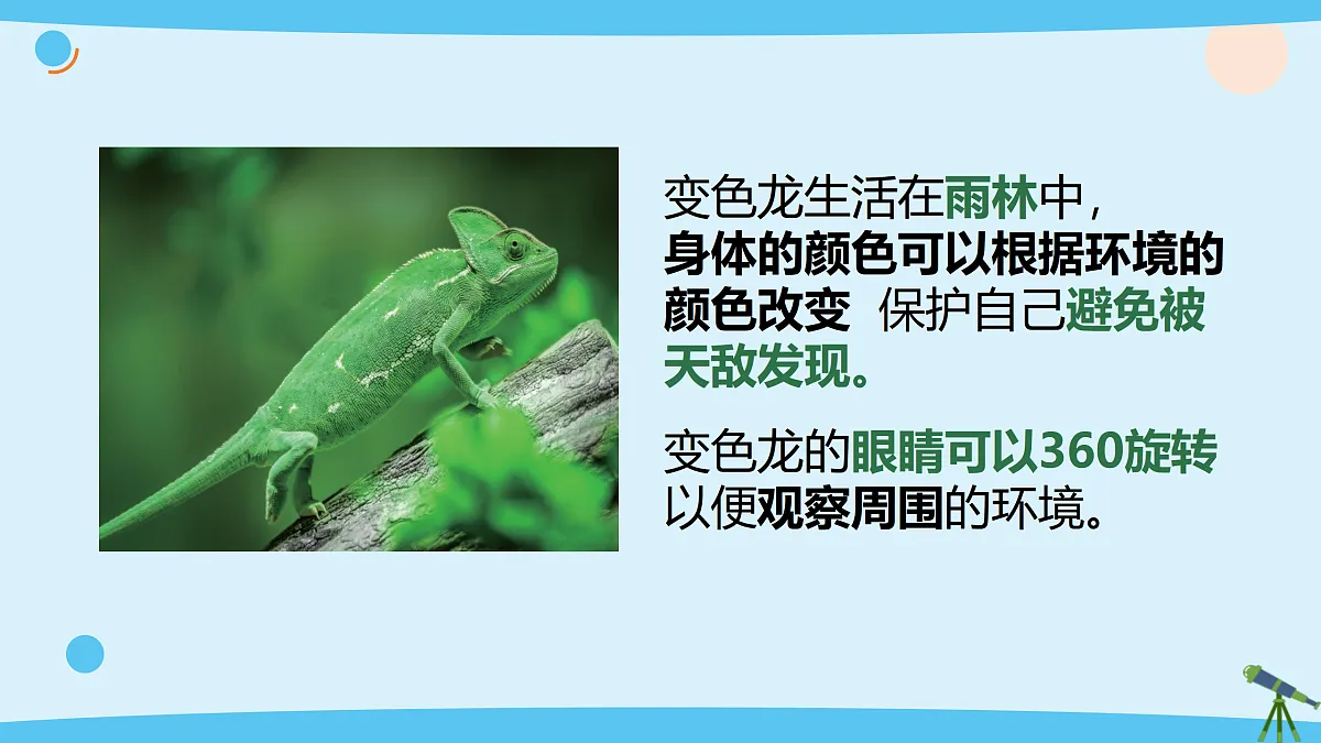 17375428第6页