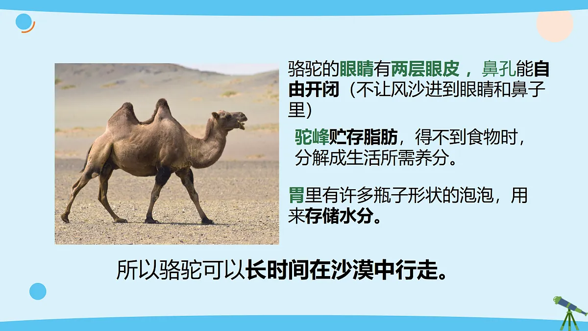 17375428第7页