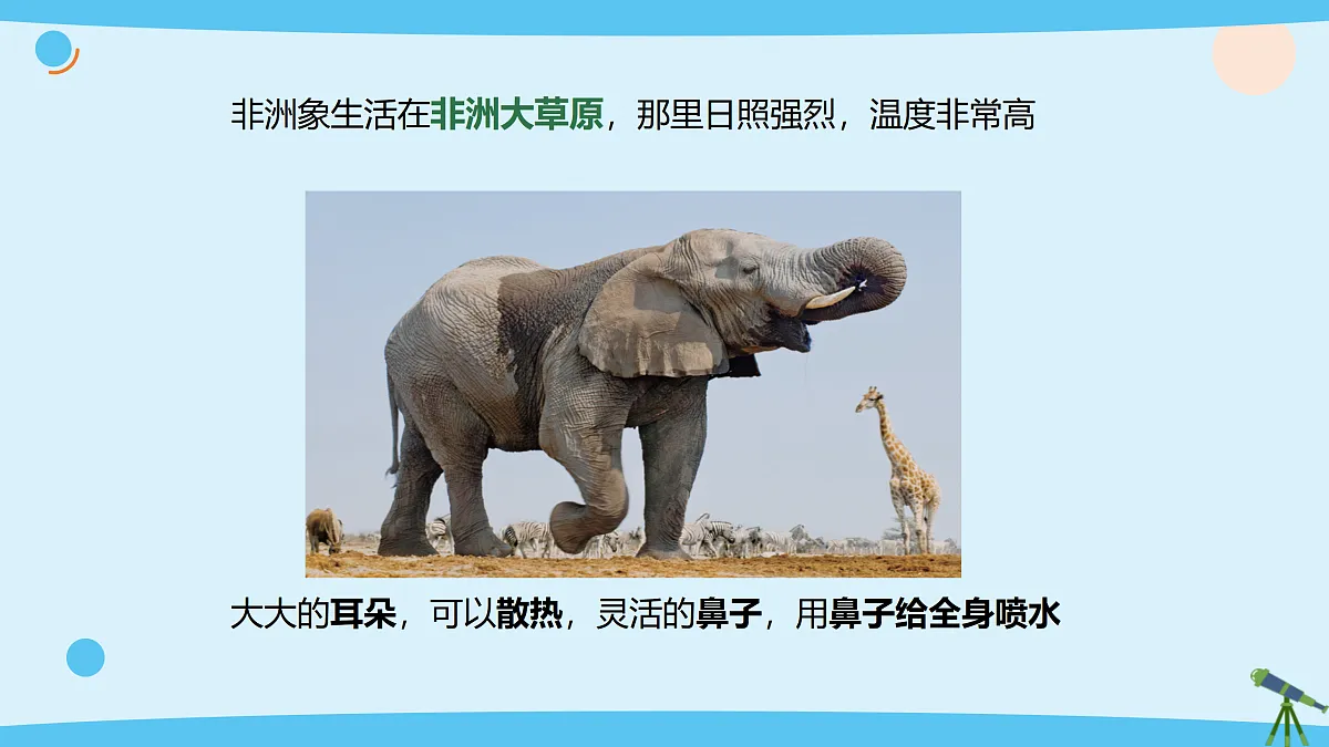 17375428第8页