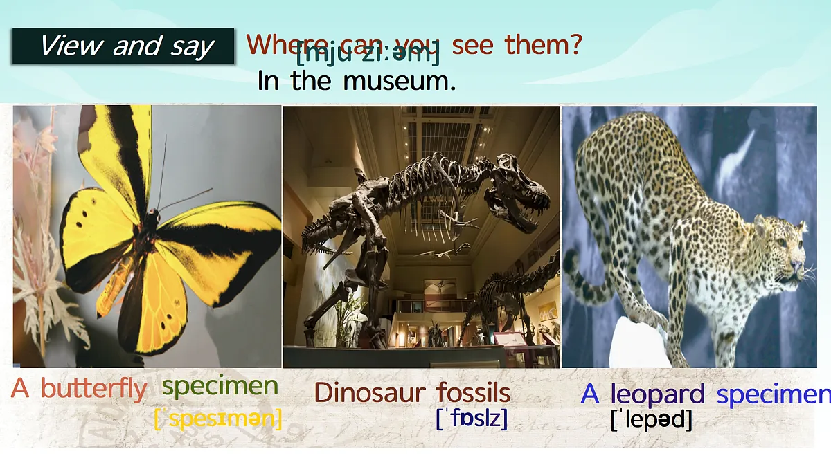 17375475第7页