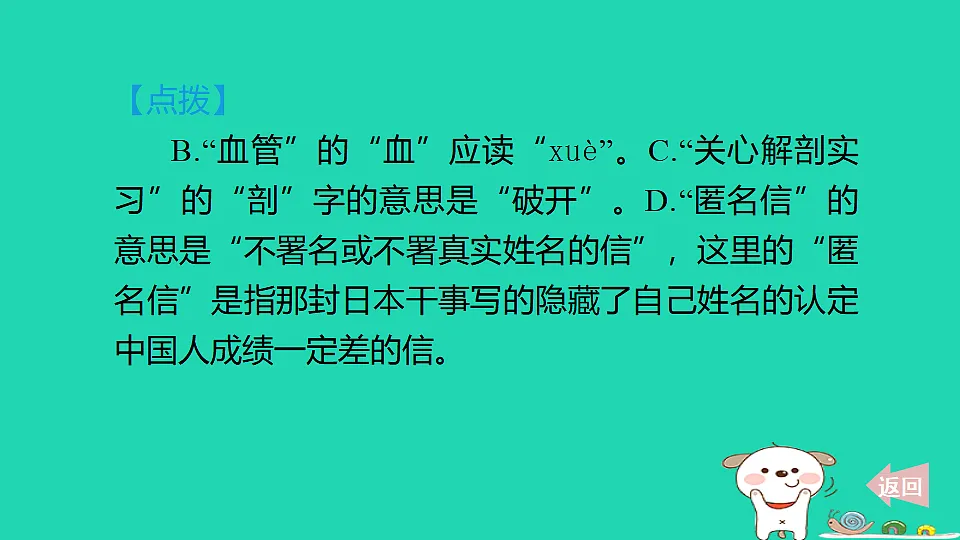 17375526第5页