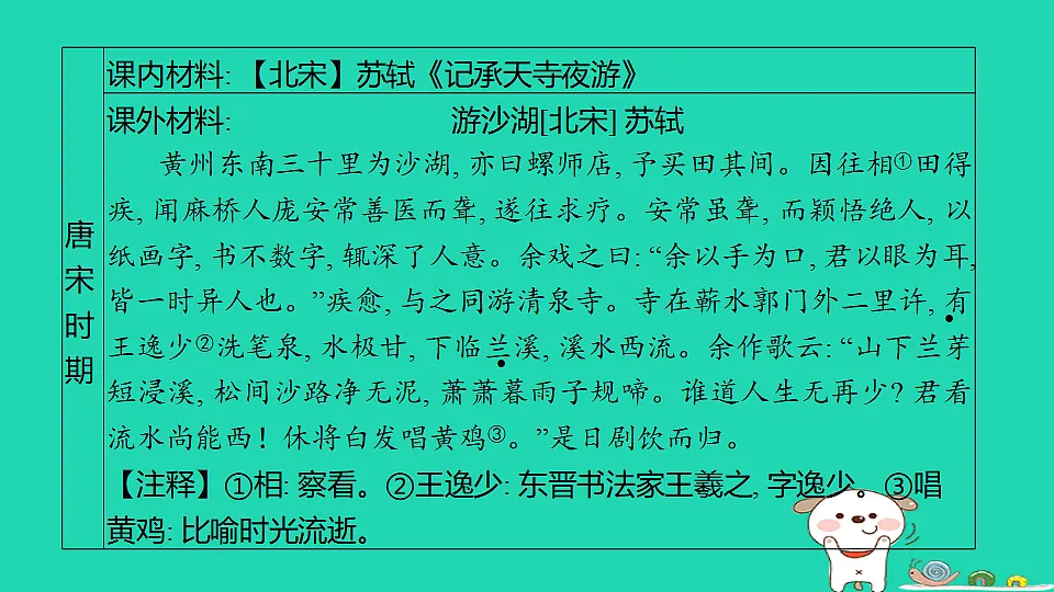17375529第3页