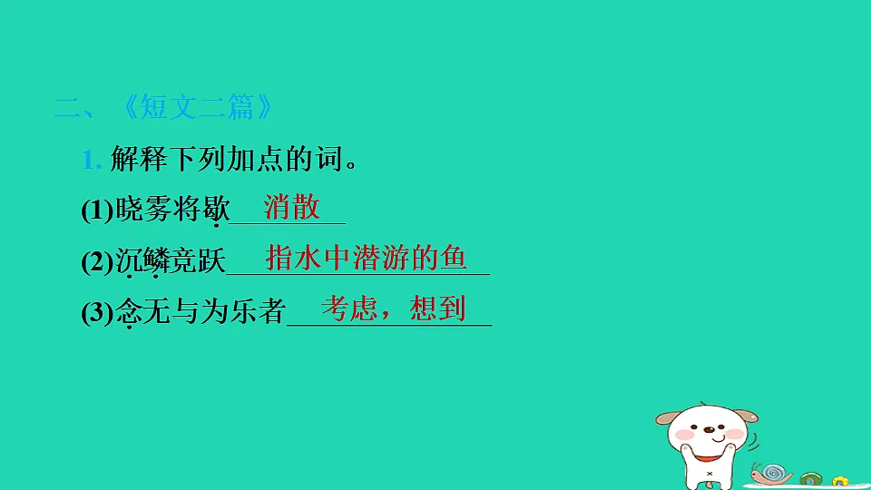17375552第8页