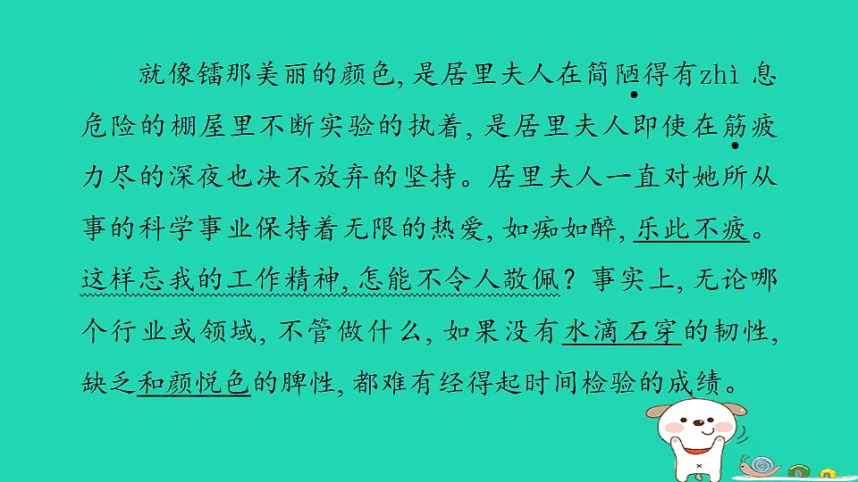 17375604第3页