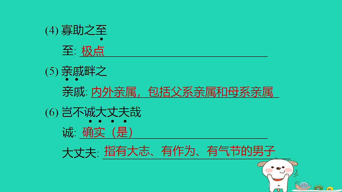 17375646第4页