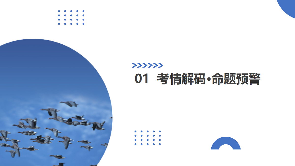 17375700第3页