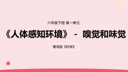 2026年春青島版六年級(jí)科學(xué)下冊(cè) 4.《嗅覺和味覺》（教案+課件）