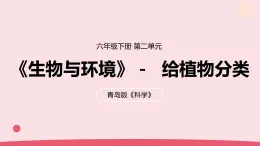 2026年春青島版六年級(jí)科學(xué)下冊(cè) 6.《給植物分類》（教案+課件）