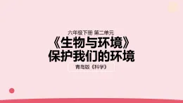 2026年春青島版六年級(jí)科學(xué)下冊(cè) 8.《保護(hù)我們的環(huán)境》（教案+課件）