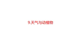 青島版二年級(jí)科學(xué)下冊(cè) 9.天氣與動(dòng)植物（教案+課件）