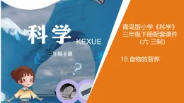 青島版三年級科學(xué)下冊 18.食物的營養(yǎng)（教案+課件）