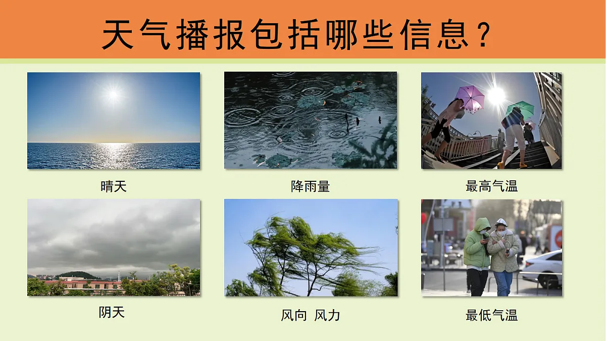 17377261第3页