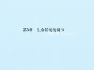 浙教版2024科學(xué)八年級上冊第3章 生命活動的調(diào)節(jié) 復(fù)習(xí)總結(jié)（課件 ）