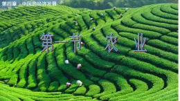 人教版地理八年級上冊4.1《農(nóng)業(yè)》課件