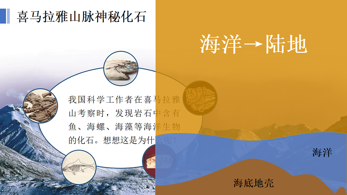 17377552第4页