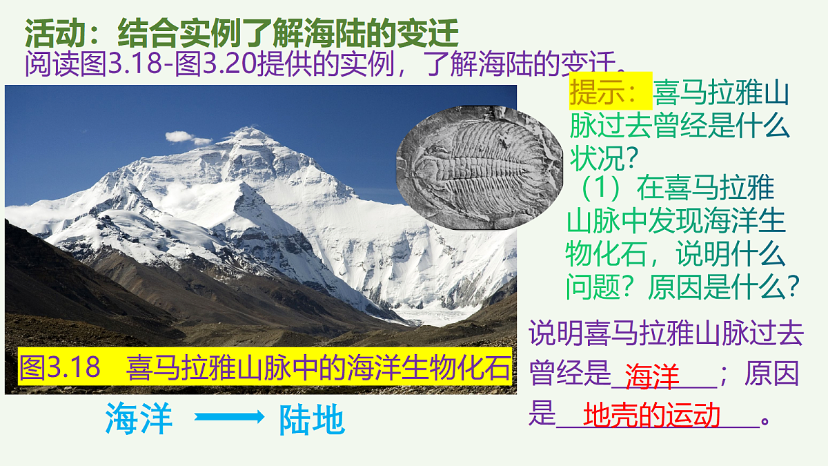 17377553第3页