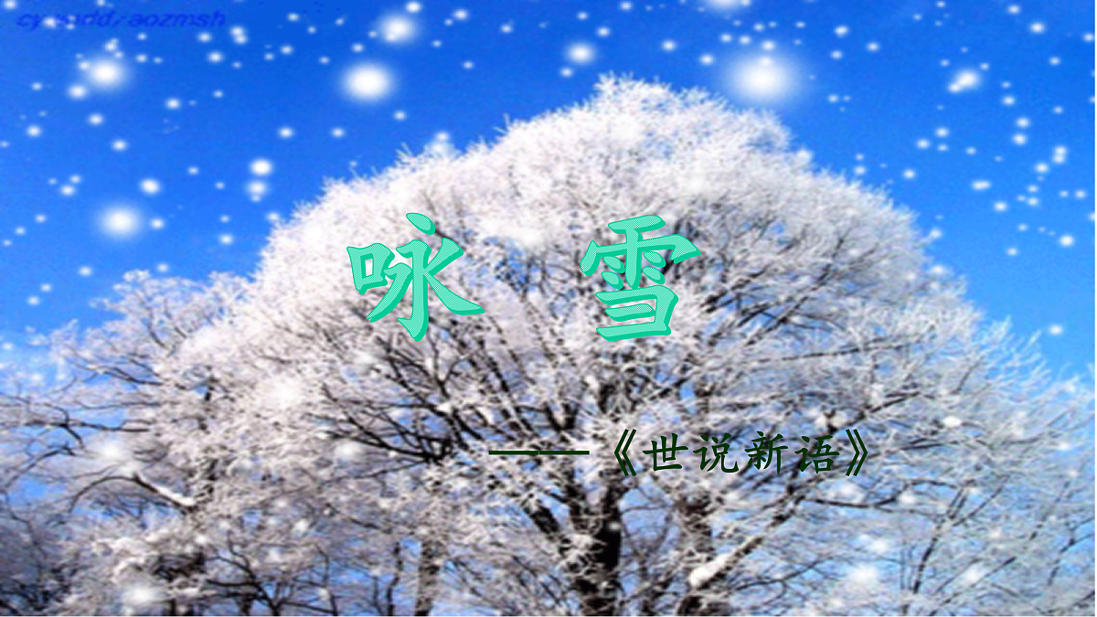 17377665第6页